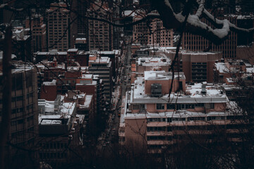 Wall Mural - Aerial view of old urban buildings against sky with sunlight morning in Montreal, Canada