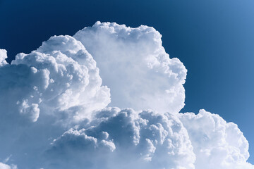 Wall Mural - puffy white cloud in the sunny sky