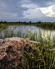 Poster - Vertical shot of a Mysterious Rock at Shakwe pond, Botswana
with a lake in the background