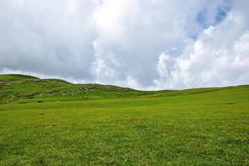 Poster - Scenic view of the green Tolipeer Meadows under the cloudy sky, Pakistan