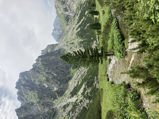 Wall Mural - Vertical shot of a little stream flwoing through the field with high mountains on the background