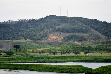 Sticker - Relaxing view of the riverside surrounded by forests