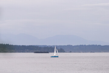 Wall Mural - sailboat on the water