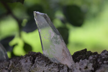 Closeup Of A Glass Shard Placed Upright In The Ground In Front Of A Blurred Green Background