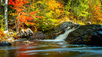 Canvas Print - Beautiful view of a river streaming through a colorful forest in autumn