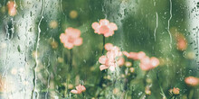Abstract Blurred Background With Pink Small Flowers And Green Grass Behind A Wet Window With Raindrops And Flowing Water On It