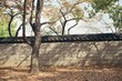 Gyeongju park with autumn leaves