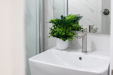 Wall Mural - Sinks and plants in a clean white bathroom.