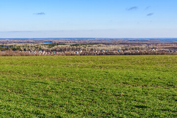 Wall Mural - View on field with the young green wheat and village