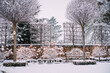 Nowoczesny ogród zimą z zaśnieżoną ławeczką i drzewami 