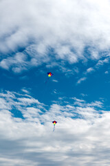 Wall Mural - colorful kites flying over the sky