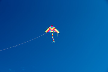 Wall Mural - colorful kites flying over the sky
