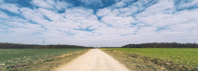 Feldweg zwischen zwei Feldern im Frühling