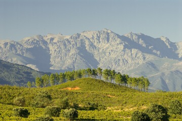 Wall Mural - Beautiful spring landscape with mountains. Extremadura, Spain.