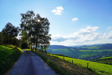 Canvas Print - Aerial shot of a beautiful forest in Sauerland, Germany