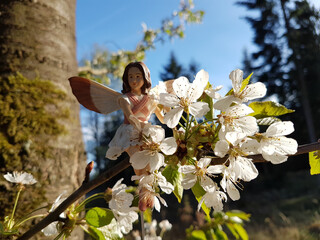 Poster - Closeup of a miniature gardening fairy statue near a Prunus subg. Cerasus