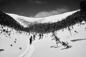 Canvas Print - Beautiful landscape of a snowy winter day in the mountains