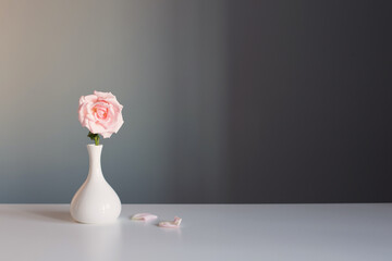 Canvas Print - pink rose in white vase on gray background