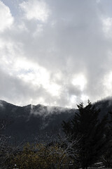 Canvas Print - Vertical shot of the mountains reaching the cloudy sky during winter