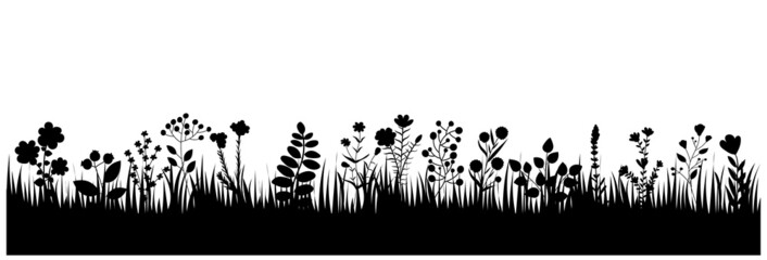 Wall Mural - silhouette grass, plants silhouette isolated vector