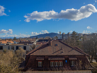 Poster - Closeup shot of the various buildings, roofs and trees on a sunny day