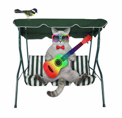 Canvas Print - An ashen cat with a acoustic guitar sits on a beach swing chair. White background. Isolated.