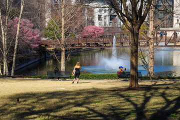 Wall Mural - two women sitting on black metal benches and one woman standing near a green lake in the park surrounded by pink trees, bare winter trees, lush green plants, a bridge and buildings in the skyline