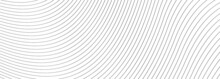 Stripe Pattern White Line Background. Thin Dark Lines On White Background. Abstract Texture Line Pattern Background