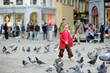 © MNStudio - Cute little girl feeding and chasing birds on Dam Square in Amsterdam on summer day.