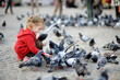 © MNStudio - Cute little girl feeding and chasing birds on Dam Square in Amsterdam on summer day.