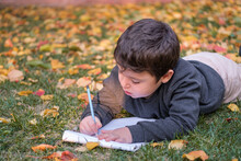 Little Boy Lying On The Grass. Studying In The Backyard