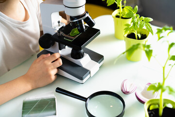 close-up microscope and plant study, increasing and studying nature