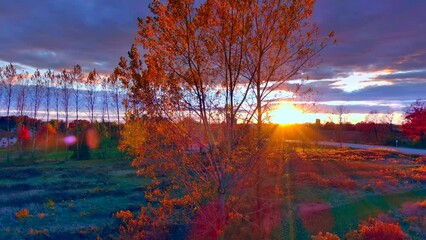 Wall Mural - Rural landscape with incredible Autumn, Fall colors at dusk, moving aerial view.

