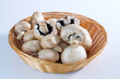 Champignons / Pilze in einem Körbchen / Korb auf einem weißen Hintergrund (mittig) - ein Korb voller Pilze