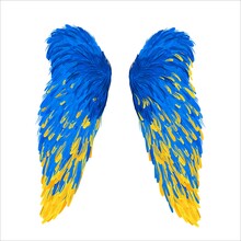 Wings In National Colors Of Ukraine. Vector Illustration In Support Of Ukraine. Yellow And Blue Angel Wings, T-shirt Print. Concept To Stop The War. The Inscription Stop The War.