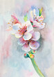 blossoming pear branch