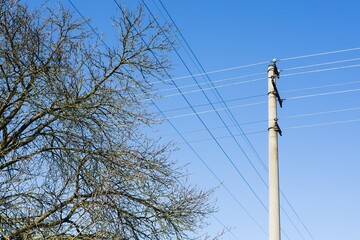 High voltage columns, in the background with blue sky and clouds. Prices of electricity, consumption, ecology.