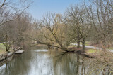 Fototapeta Pomosty - Noch sind die Bäume kahl und es wirkt kalt am Fluss.
Die Oker im Braunschweiger Bürgerpark auf ihrem Weg vom Harz in die Aller