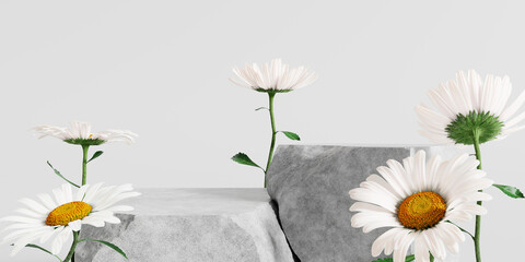 Stone podium, Cosmetic display stand with daisy blossom flowers on white background. 3D rendering	