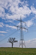 © AdobeTim82 - A High voltage pole with blue white sky and a tree
