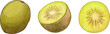 yellow kiwi illustration