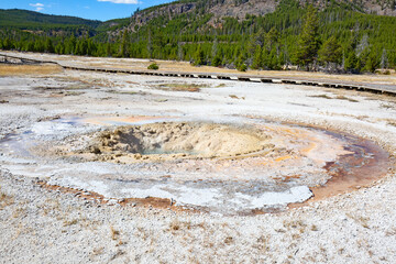 Wall Mural - Black sands geyser basin