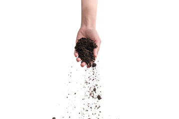 Brown soil in woman hands isolated on white.