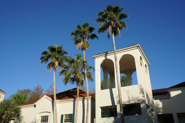 Wall Mural - apartment buildings with palm tree in tropical area