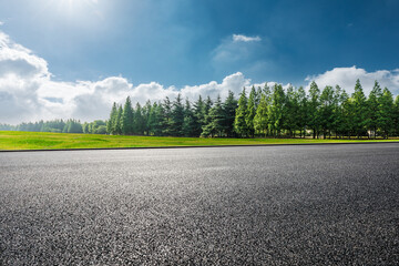 Wall Mural - Empty asphalt road and green forest under blue sky. Road and forest background.