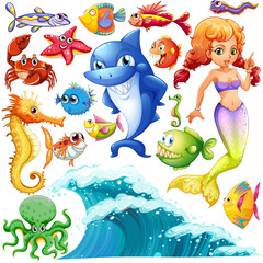 Wall Mural - Different types of sea animals