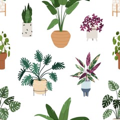 Poster - Seamless pattern with home plants growing in pots. Leaf houseplants in planters print. House and office interior decoration in flowerpots, endless repeating background. Flat vector illustration