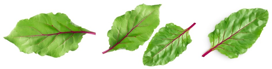 fresh beet leaf isolated on white background. Top view. Set or cillection