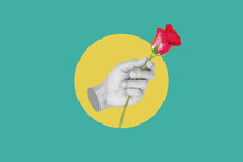 Digital Collage Modern Art. Hand Holding Red Rose