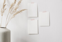 Closeup Of Blank Greeting Cards Mockups Taped On White Wall.Modern Summer, Fall Still Life Photo. Dry Festuca Grass In Vase, Blurred Foreground. Boho Home Decor. Art Display. Natural Craft Composition